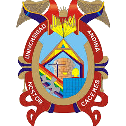 Universidad Andina Nestor Caceres Velasquez