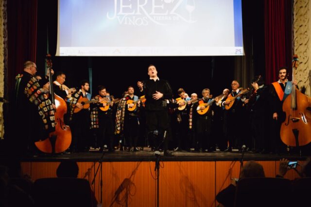 WhatsApp Image 2026-02-19 at 16.24.40